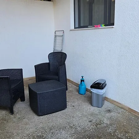 Garden Lemon Tree Tirana