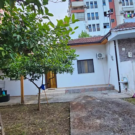 Garden Lemon Tree