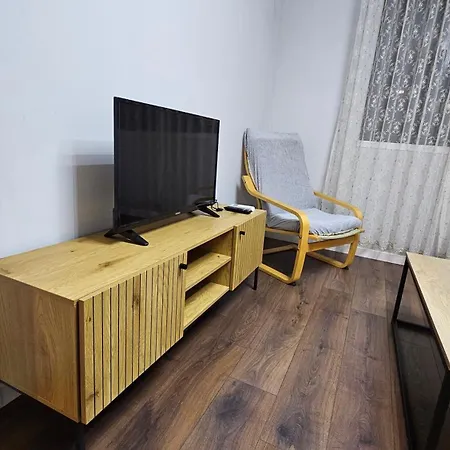 Garden Lemon Tree * Tirana