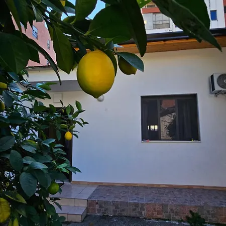 Garden Lemon Tree Villa