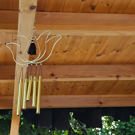 Garden Lemon Tree فيلة تيرانا