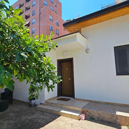 Garden Lemon Tree Tirana