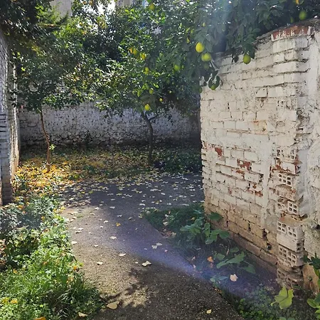 Garden Lemon Tree * Τίρανα