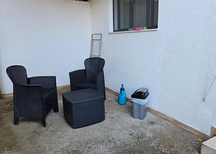 Garden Lemon Tree 地拉那