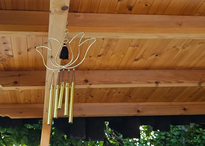 Garden Lemon Tree 别墅 地拉那