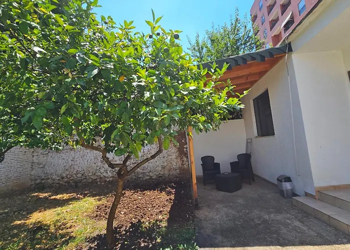 Garden Lemon Tree *