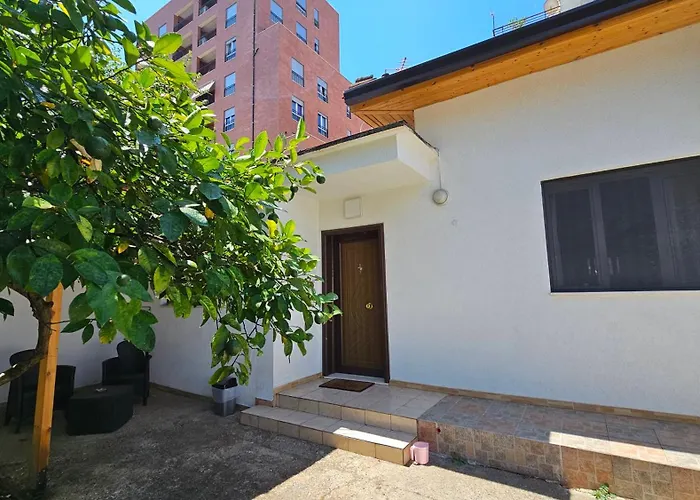 Garden Lemon Tree 地拉那