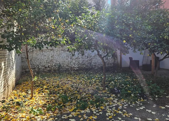 Garden Lemon Tree 别墅 *