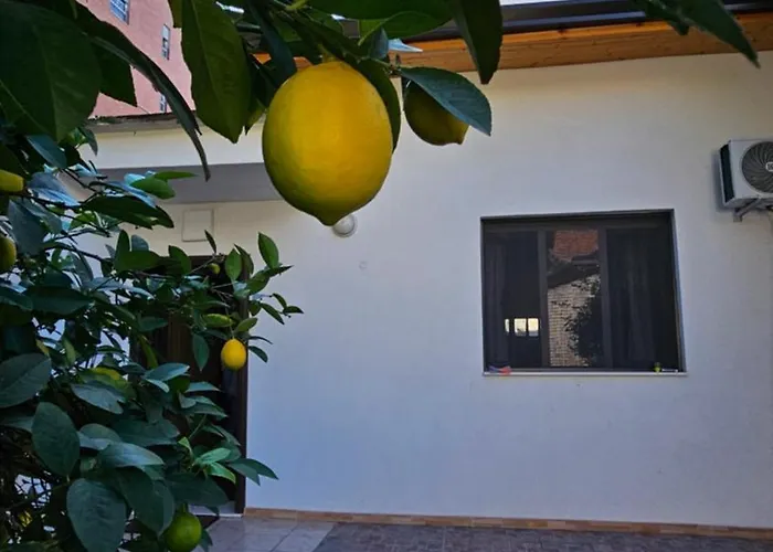 Garden Lemon Tree Villa